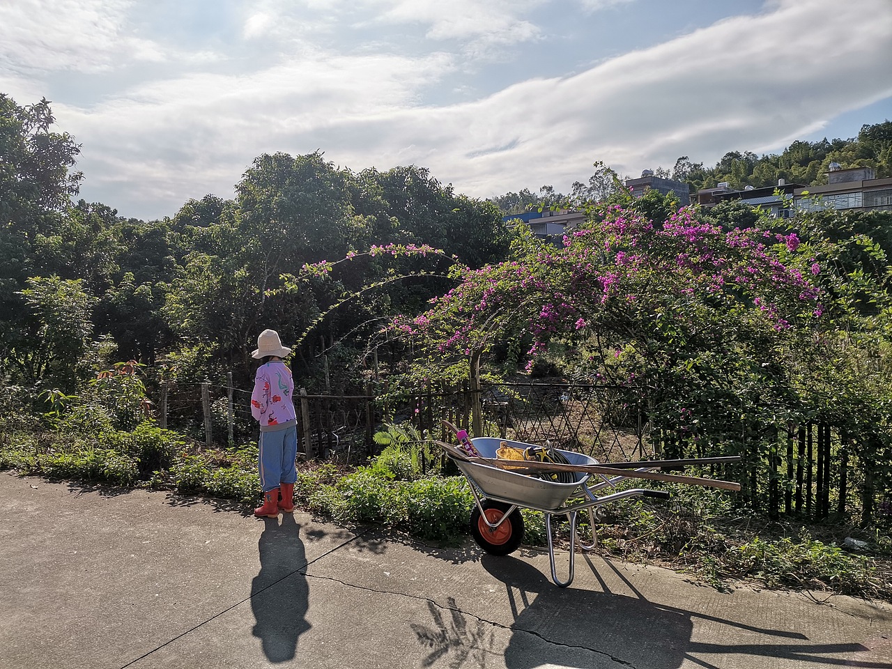 取舍，回归初心（图ZMjgxNDg1OTUy） - 风光摄影 - 站酷设计师治愈的花园原创素材 - 站酷ZCOOL