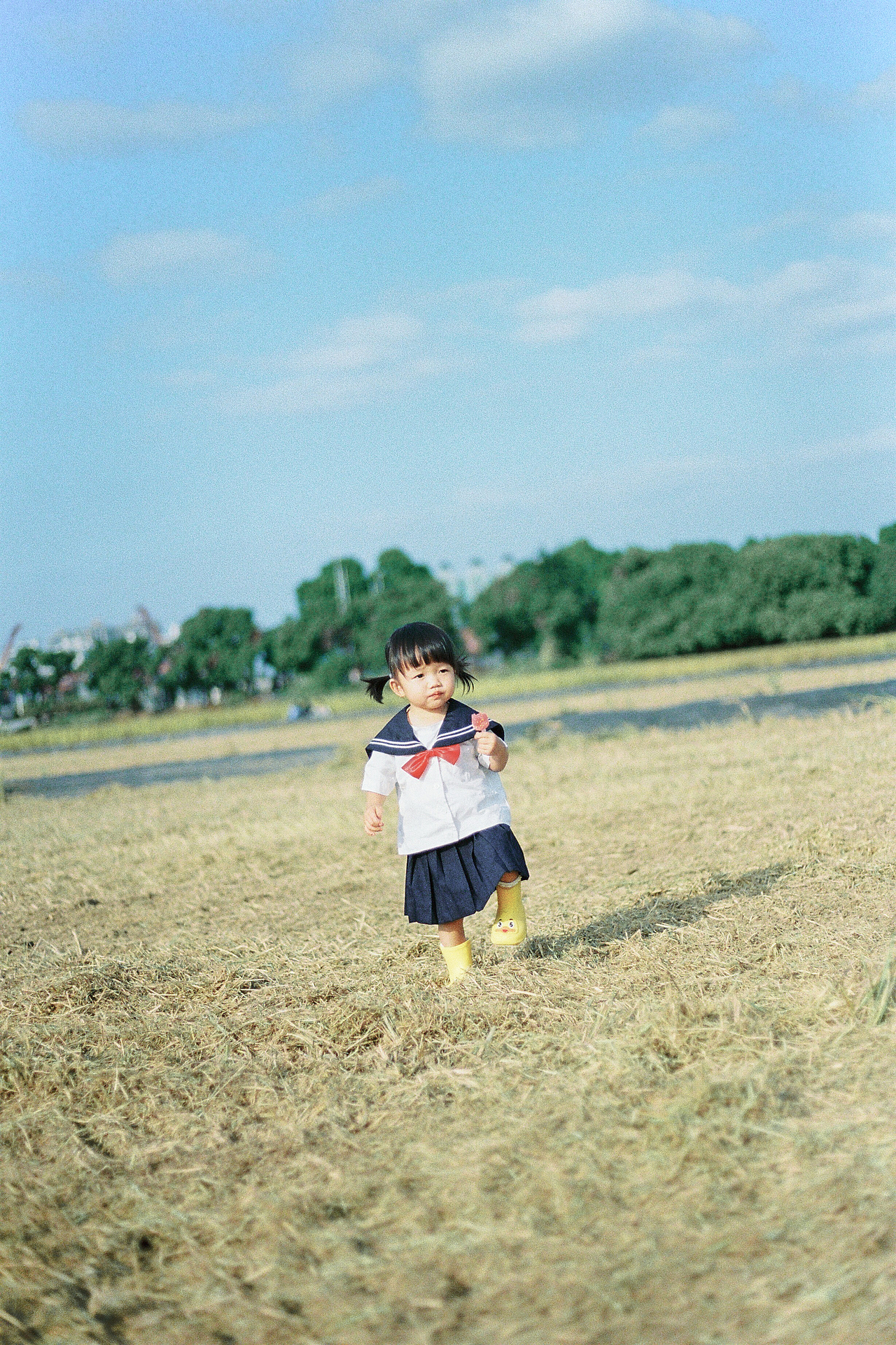 妈妈,我们抓蝴蝶去