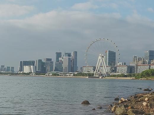 手机摄影 - 深圳 - 深圳湾