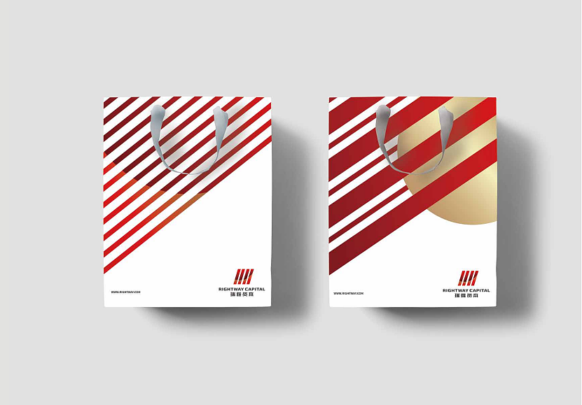 瑞维金融标识设计（图ZMjQzNTIyNzA0） - 品牌 - 站酷设计师北京中创天地文化原创素材 - 站酷ZCOOL