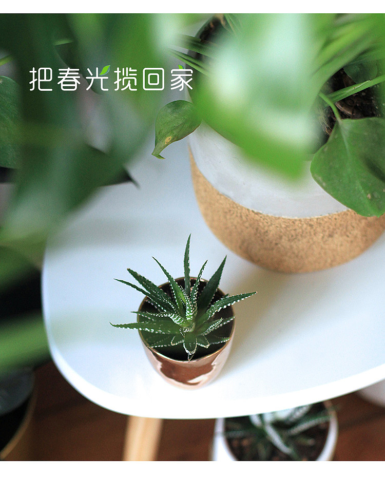 手机端页面（图ZMTc1MDcwMTUy） - 电商 - 站酷设计师ham_online原创素材 - 站酷ZCOOL