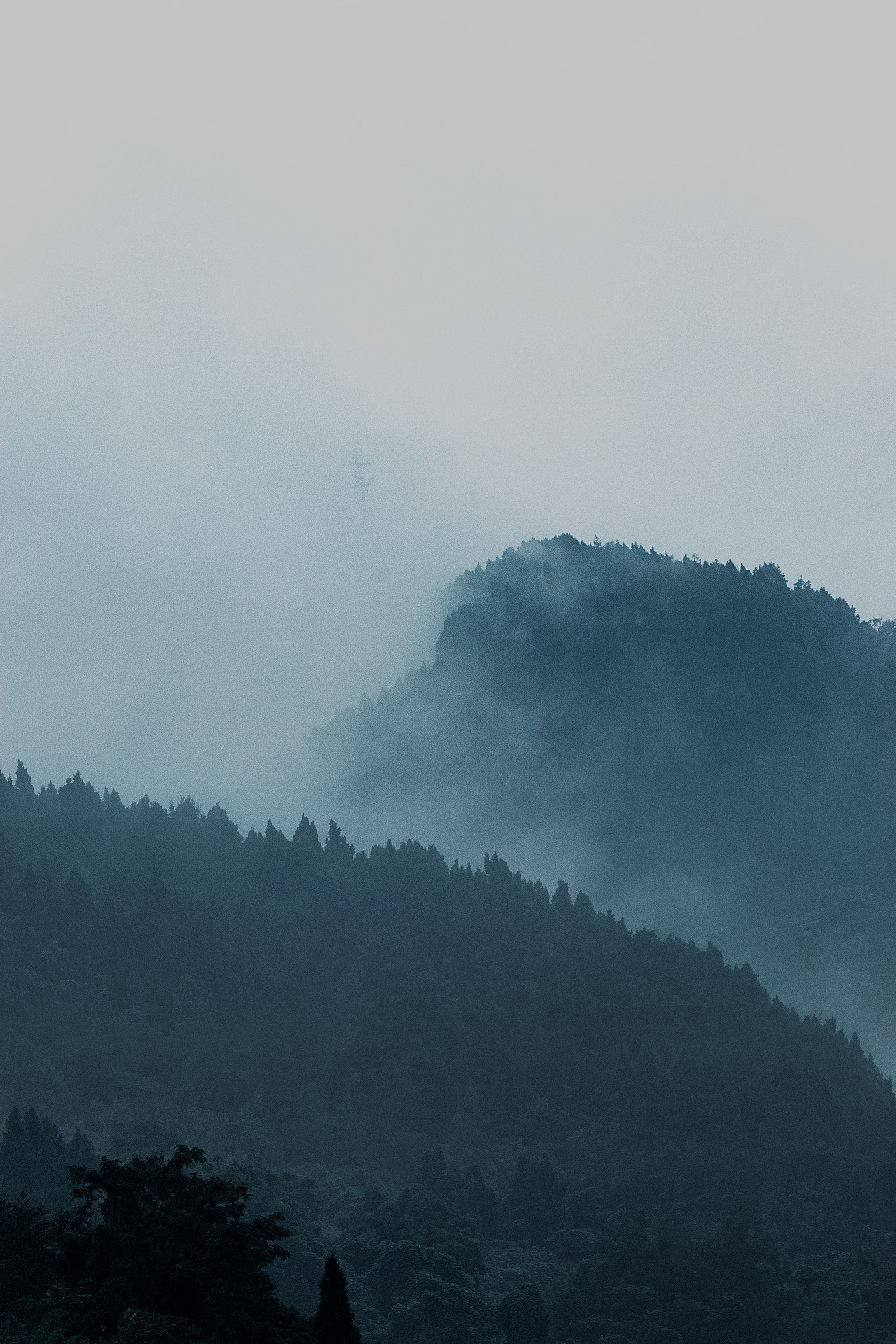 天青色等烟雨,我在山里等你