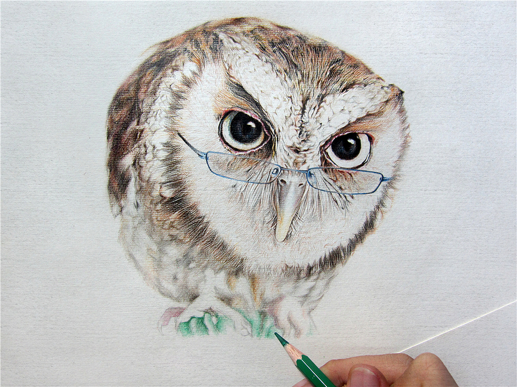 纸上彩铅-《福鸟花鸮》绘制过程（图ZMjcxNzMwNjA=） - 绘画 - 站酷设计师超超的青葱原创素材 - 站酷ZCOOL