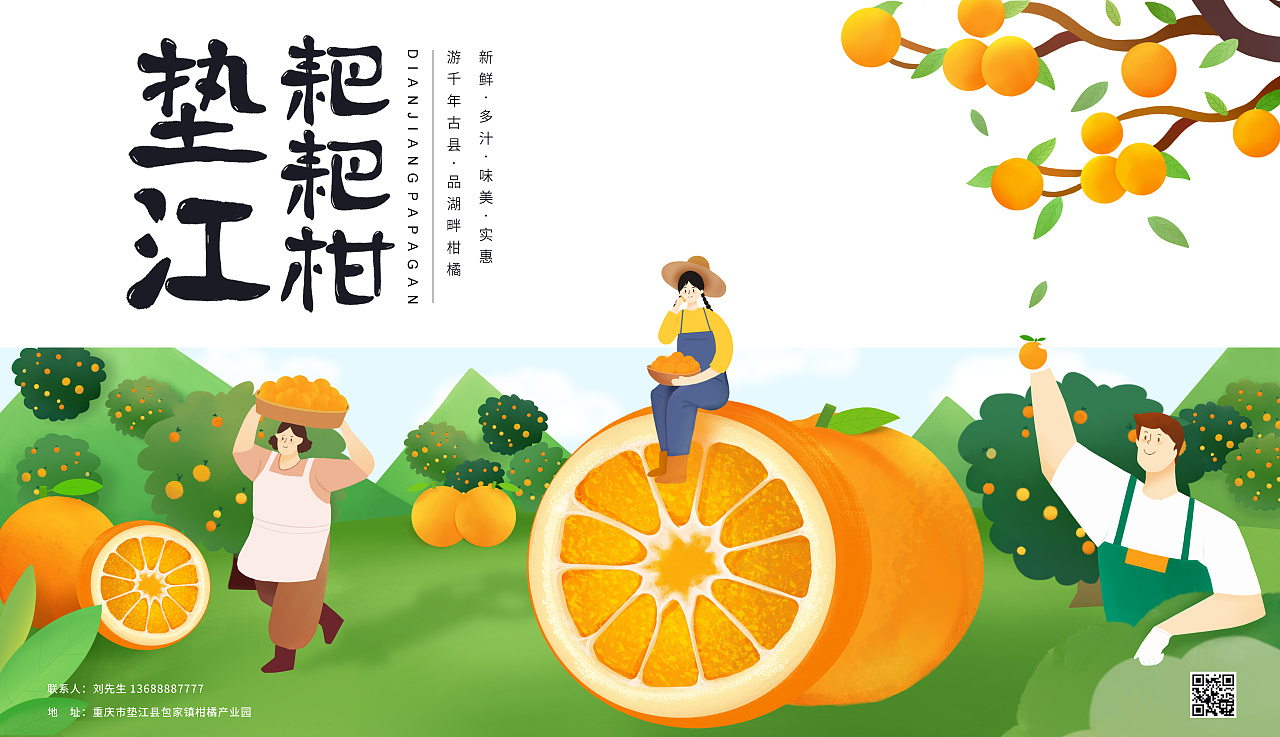 包装设计-垫江耙耙柑