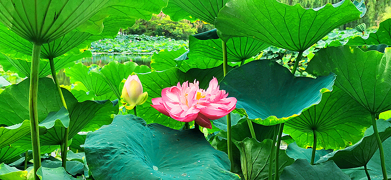 2021年手机摄影总结