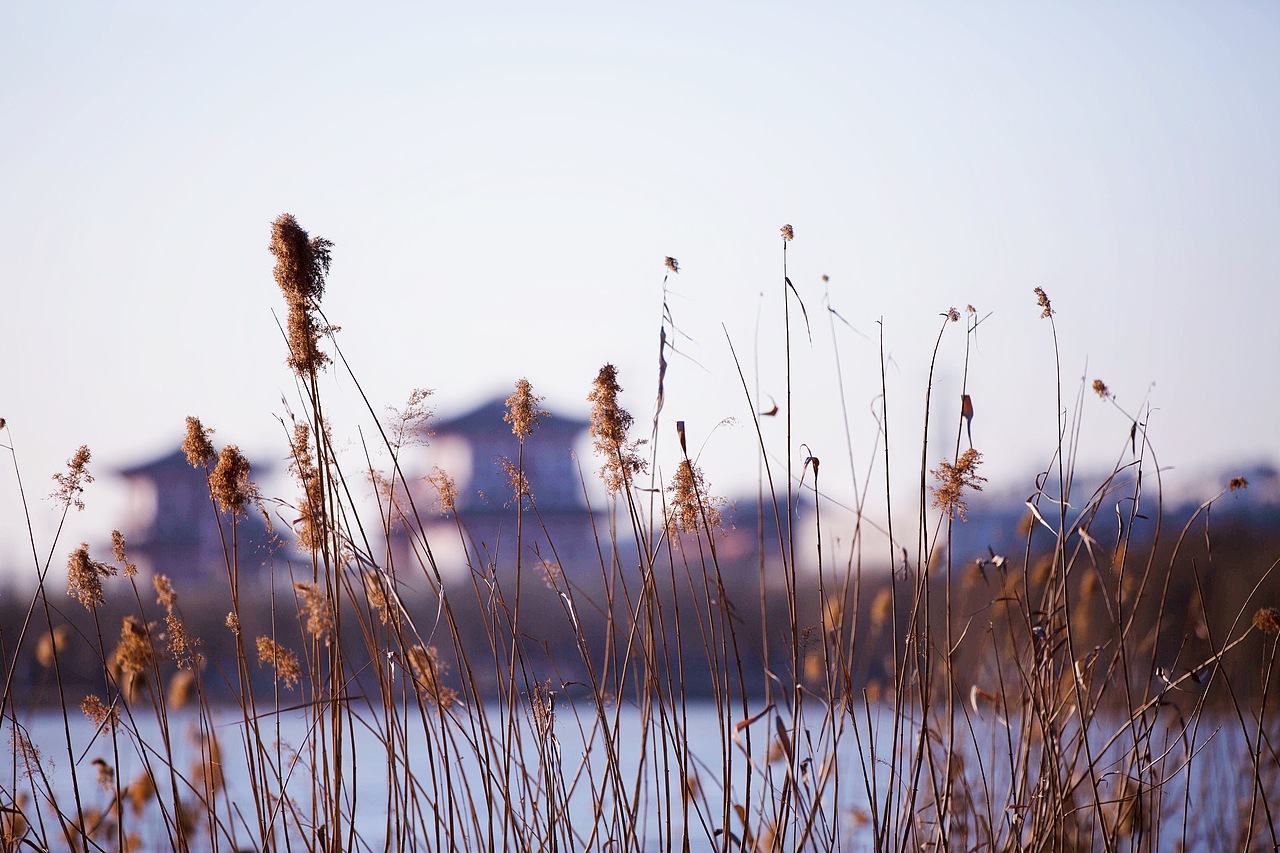 眼中的美景（圖ZNzEyMTIxNjA=） - 風(fēng)光攝影 - 站酷設(shè)計(jì)師檸檬先生89原創(chuàng)素材 - 站酷ZCOOL