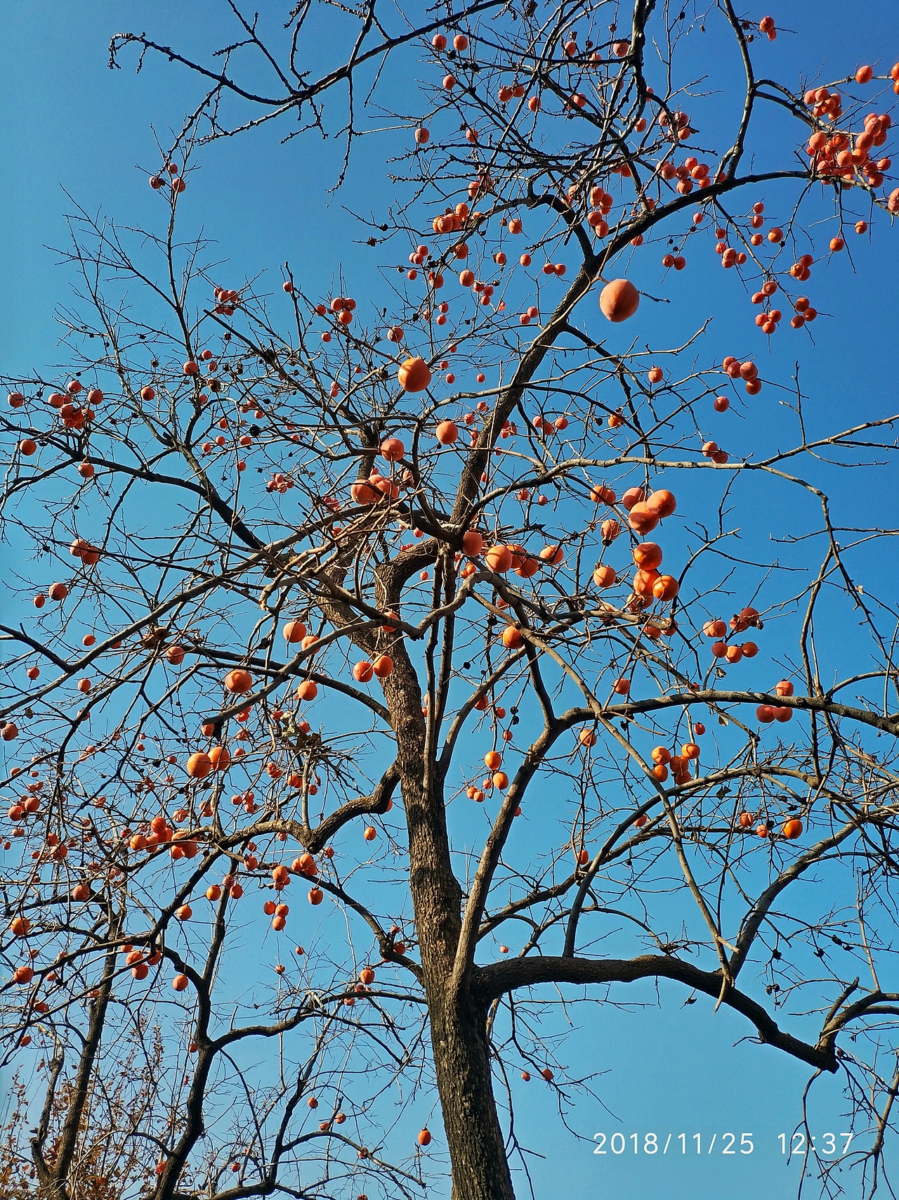 三游故宫（图ZMTM2Mzc5MDcy） - 风光摄影 - 站酷设计师携剑踏歌原创素材 - 站酷ZCOOL