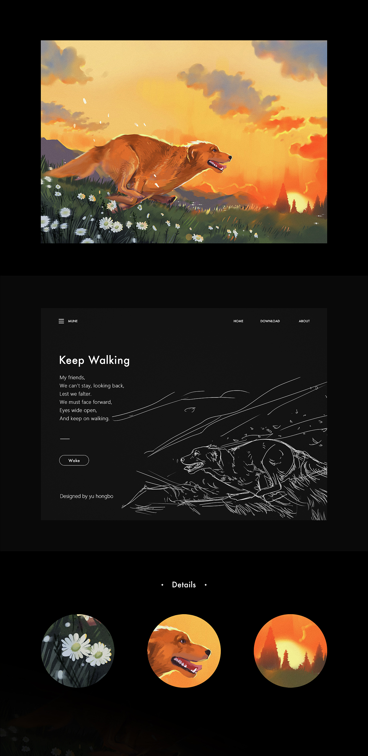 2017 iPad插画学习整理