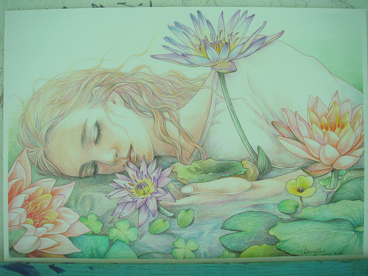 近期的一些彩铅画