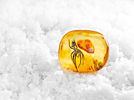 珠寶攝影·琥珀（個人主頁-ZMzU3NTMwMTY=） - 產品攝影 - 站酷設計師DanWong原創(chuàng)素材 - 站酷ZCOOL