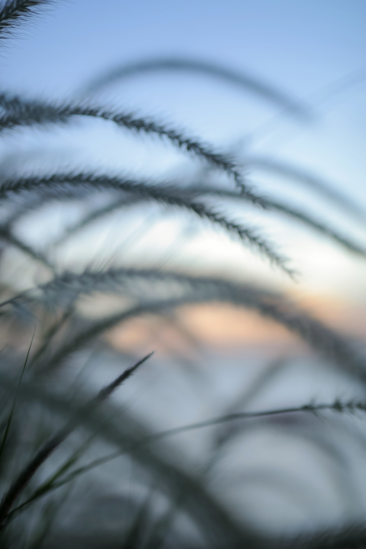 落日之前（图ZMjU3NjM3OTgw） - 婚礼摄影 - 站酷设计师yuu0105原创素材 - 站酷ZCOOL