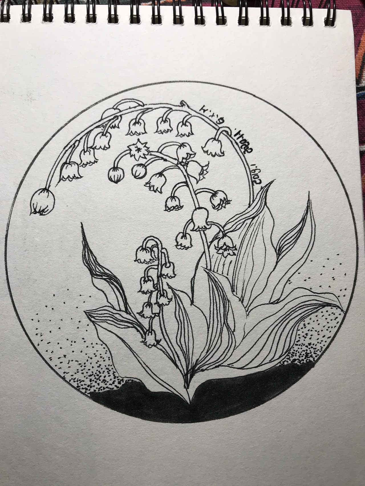 线描花卉 铃兰 原创