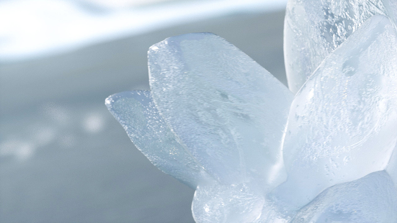 POPOCOLA -Pet ice mat（图ZMjUzMDA5MzA4） - 动画/影视 - 站酷设计师怪势力视觉原创素材 - 站酷ZCOOL