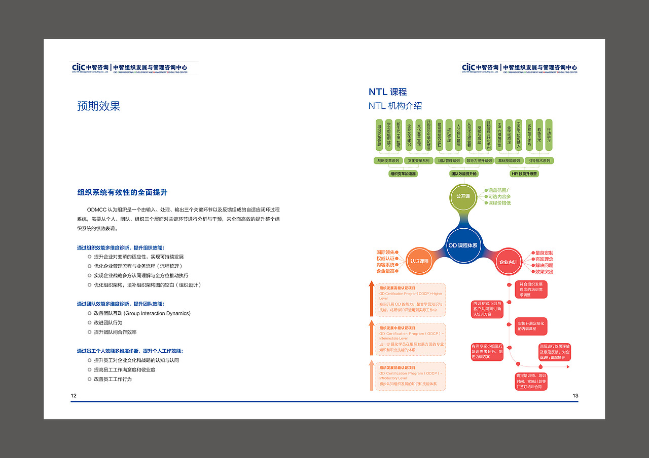 中智咨询 宣传册（图ZMTM1MzE4OTAw） - 书籍/画册 - 站酷设计师展山已几原创素材 - 站酷ZCOOL