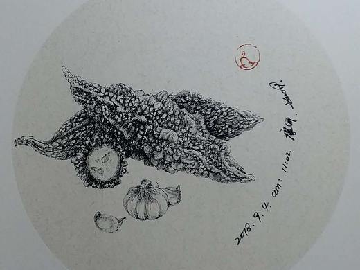 寫生 苦瓜（個人主頁-ZMzAwMzQxMzI=） - 圖案 - 站酷設(shè)計師蒼狼大叔原創(chuàng)素材 - 站酷ZCOOL