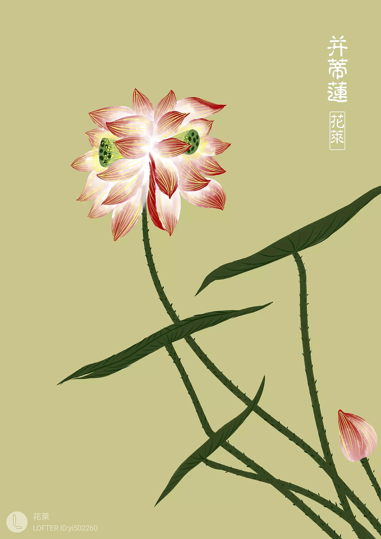 国风花花合集（图ZMjA2NzM5OTAw） - 创作习作 - 站酷设计师花莱原创素材 - 站酷ZCOOL