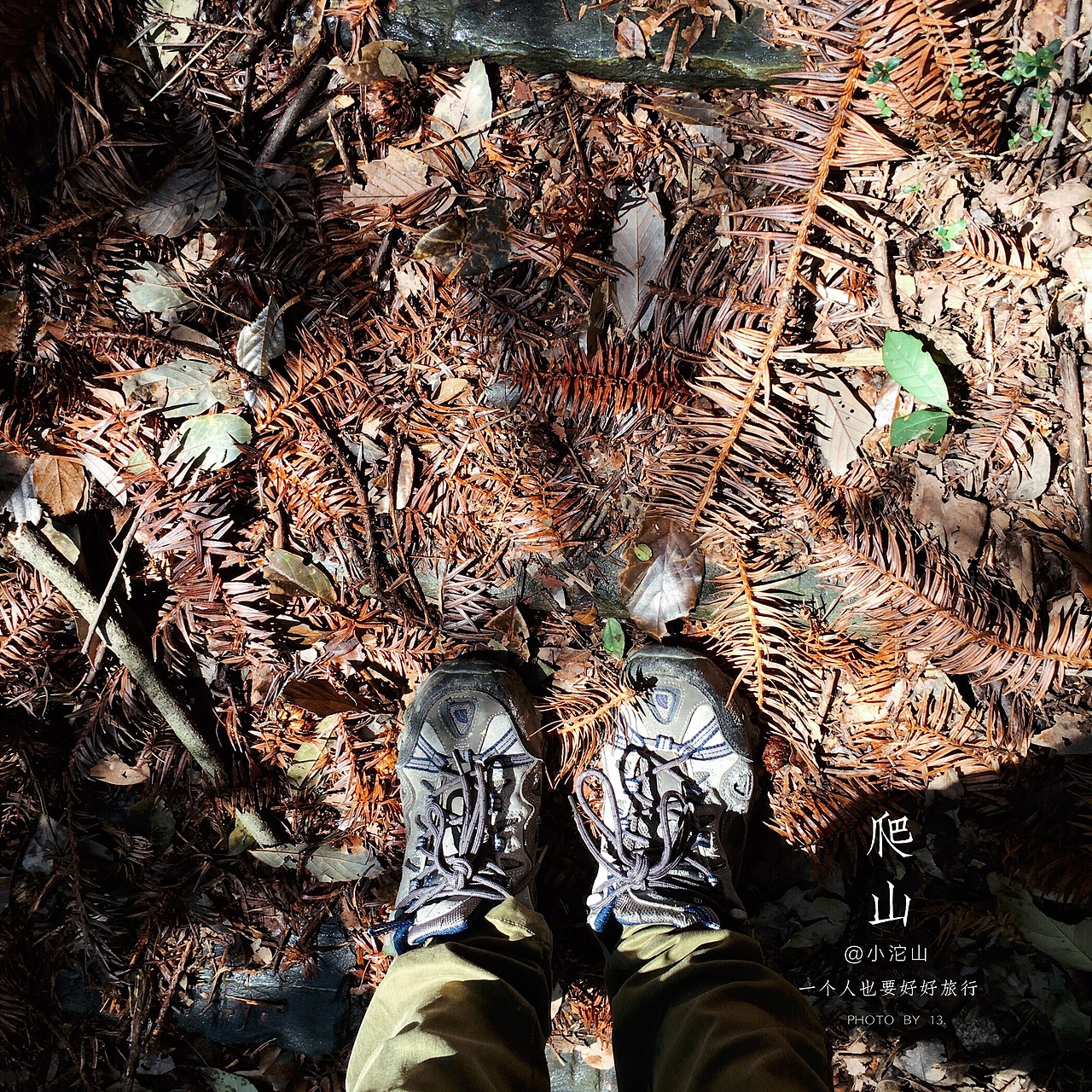 那些在iPhone6s里的景色（贰）——人间并不寂寥