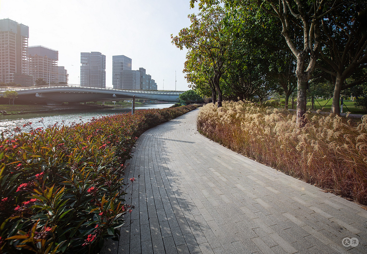 桂湾公园景观摄影|躺在地面的前海新地标