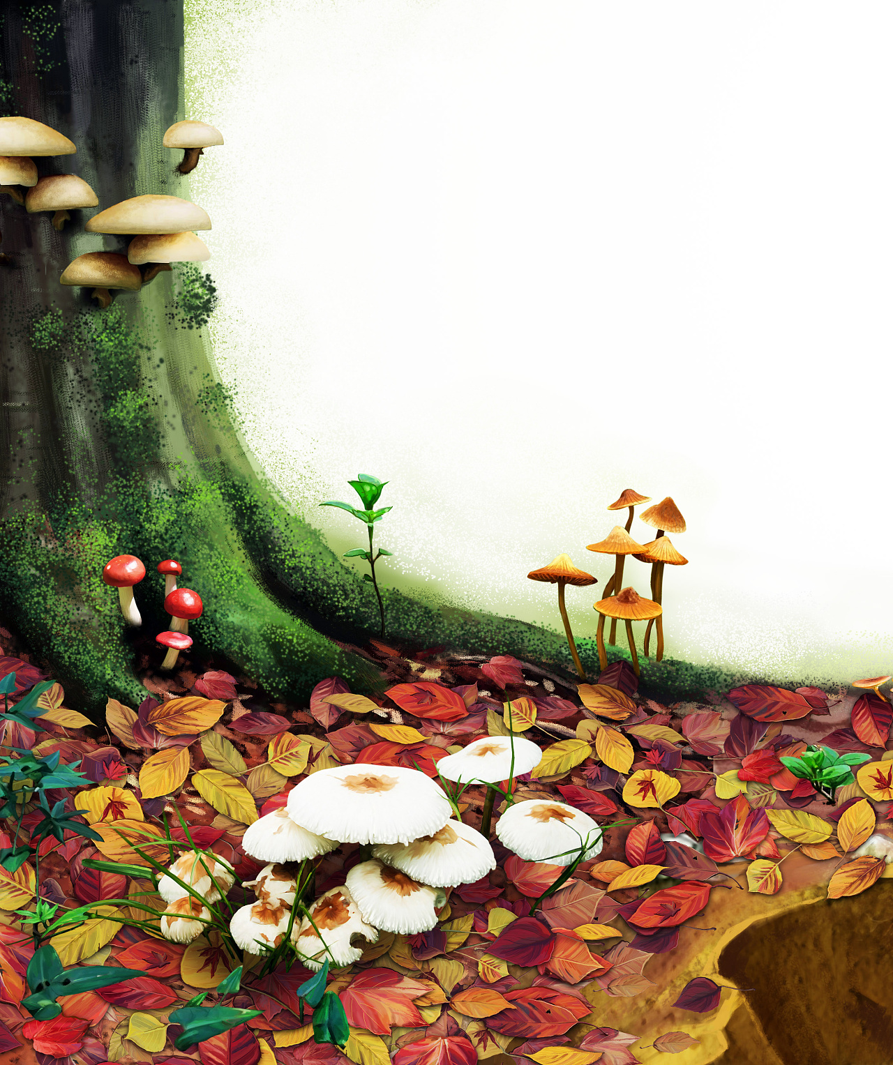 照片创意～蘑菇小插画|插画|儿童插画|吃肉乐 - 原创作品 - 站酷 (ZCOOL)