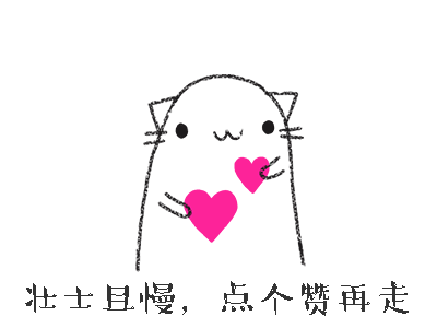 纪念邮票、熊猫币拍摄