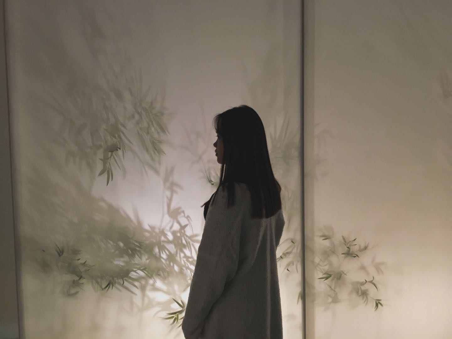 Fiona_艳飞的个人主页（封面预览） - 主页封面设置 - 站酷设计师Fiona_艳飞原创素材 - 站酷ZCOOL