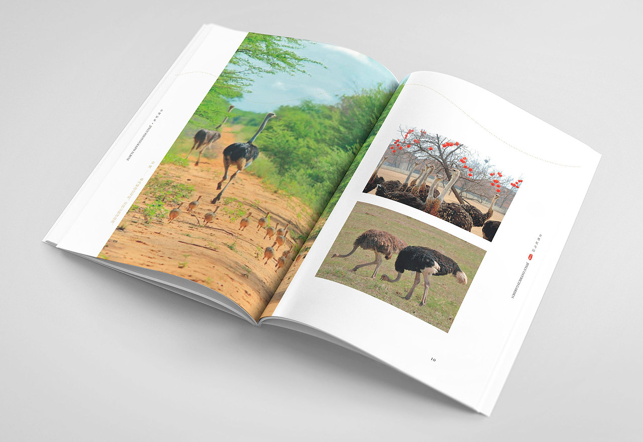 画册（图ZMzExMDk0MTE2） - 书籍/画册 - 站酷设计师阿米AD原创素材 - 站酷ZCOOL