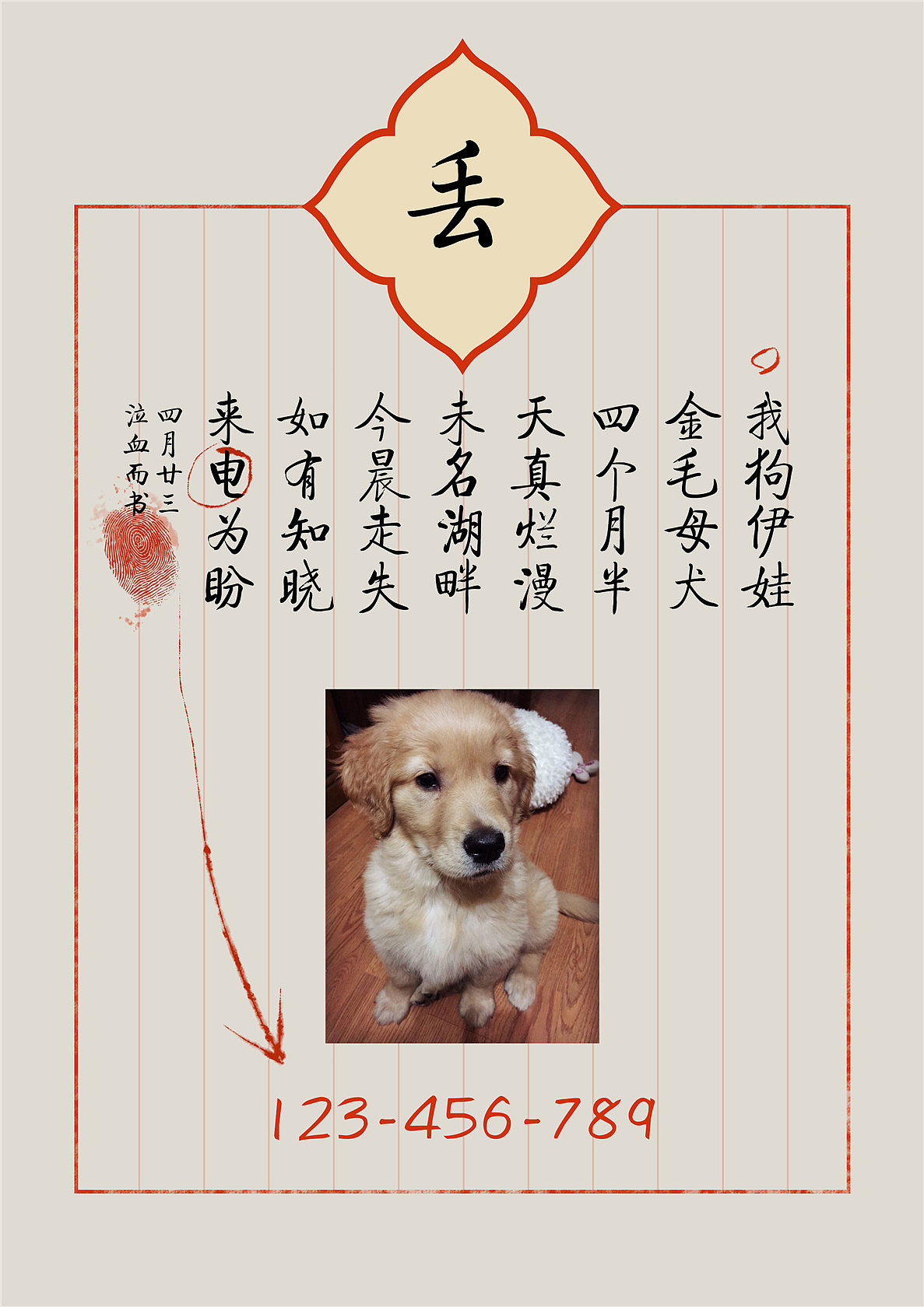 《狗丢了就找设计师帮忙》之寻狗伊娃|平面|海报