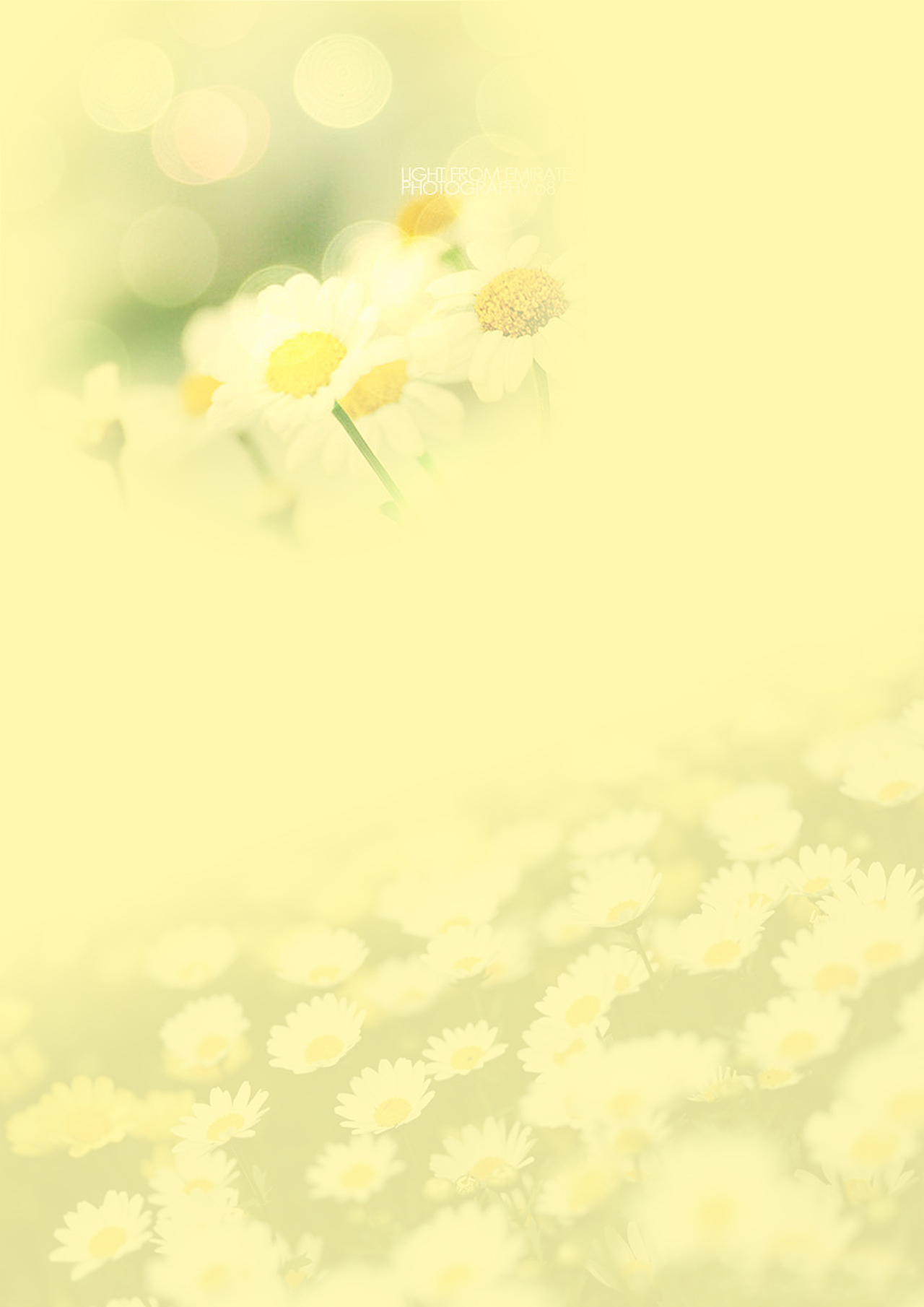 24款简单的信纸背景