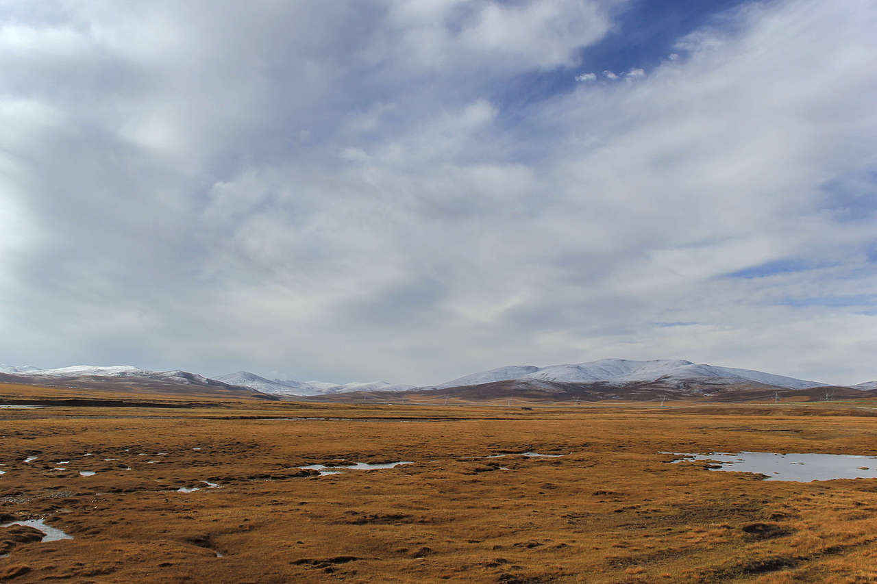 路过青海高原和雪山