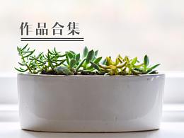 展会背景