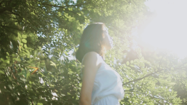 喜欢初夏透着光的树林