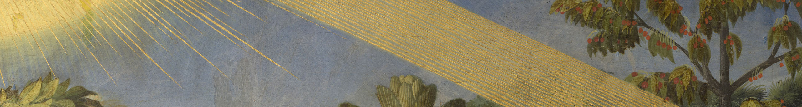 treekong的個(gè)人主頁(yè)（背景預(yù)覽） - 主頁(yè)背景設(shè)置 - 站酷設(shè)計(jì)師treekong原創(chuàng)素材 - 站酷ZCOOL