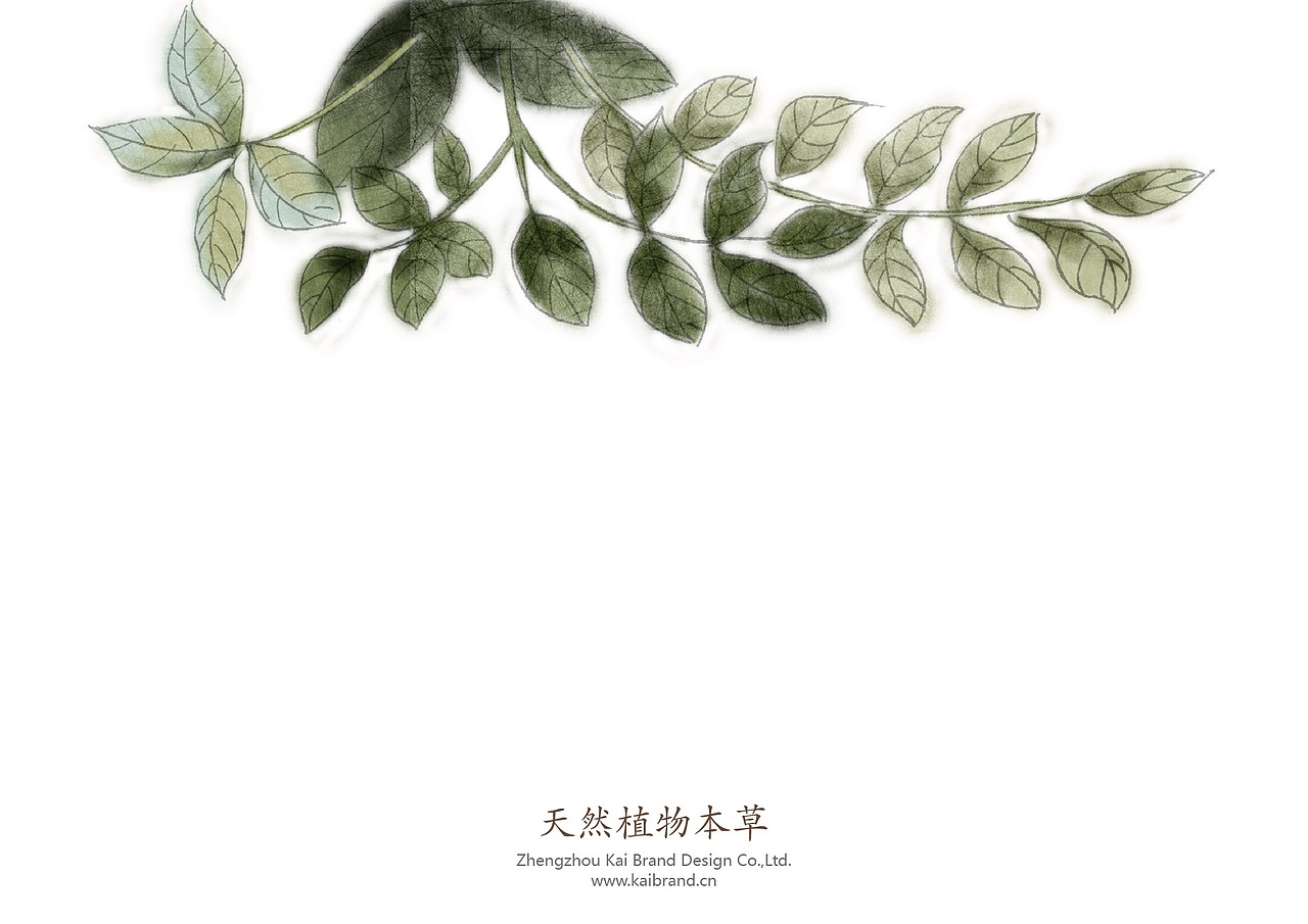 包装（图ZNTA5OTE3MjA=） - 包装 - 站酷设计师郭玉龙原创素材 - 站酷ZCOOL