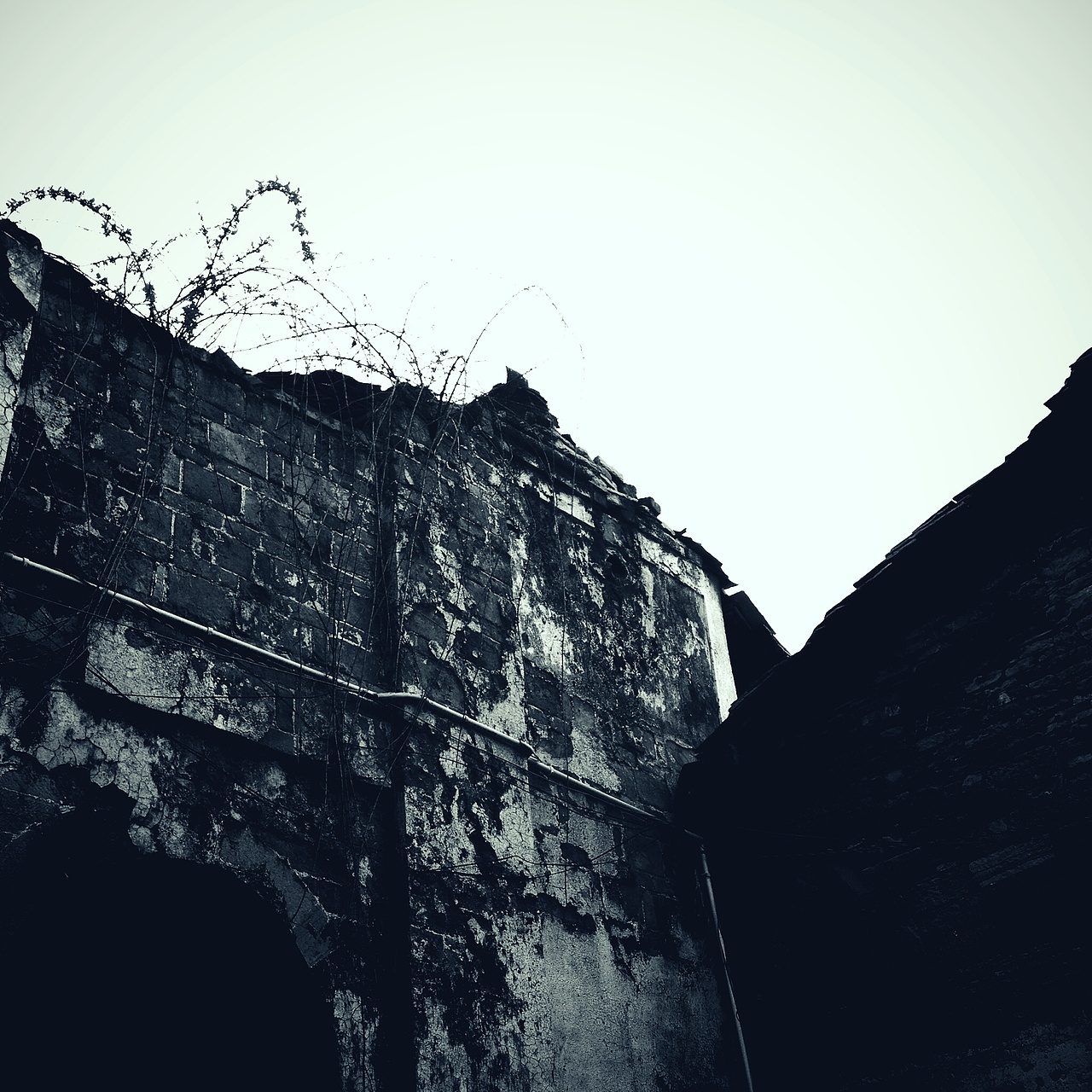 手机随拍，像素是硬伤（图ZODQ0NDQ1OTI=） - 风光摄影 - 站酷设计师陈晓俊原创素材 - 站酷ZCOOL