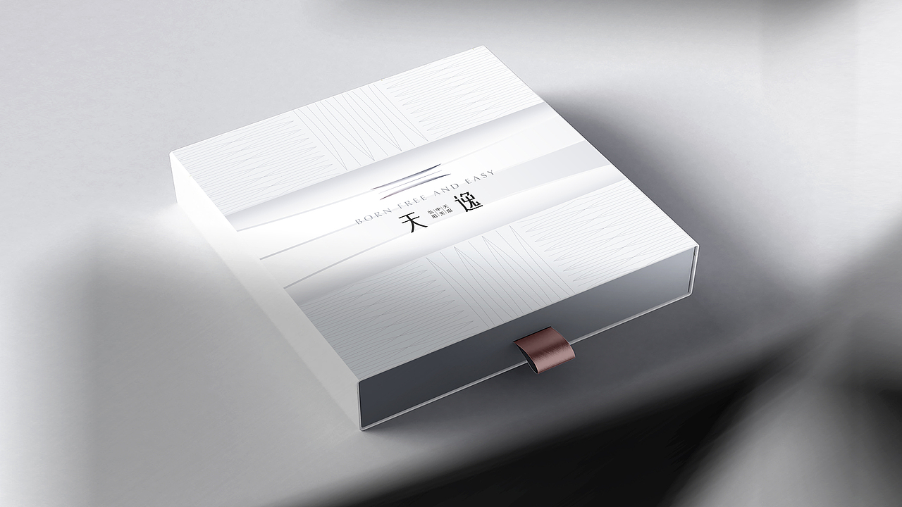 竞标作品-天逸（图ZMjkyMjU0NDQw） - 品牌 - 站酷设计师尚武2021原创素材 - 站酷ZCOOL