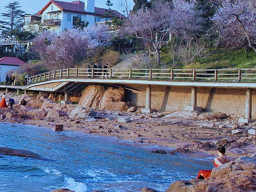 看 见 青 岛(一)