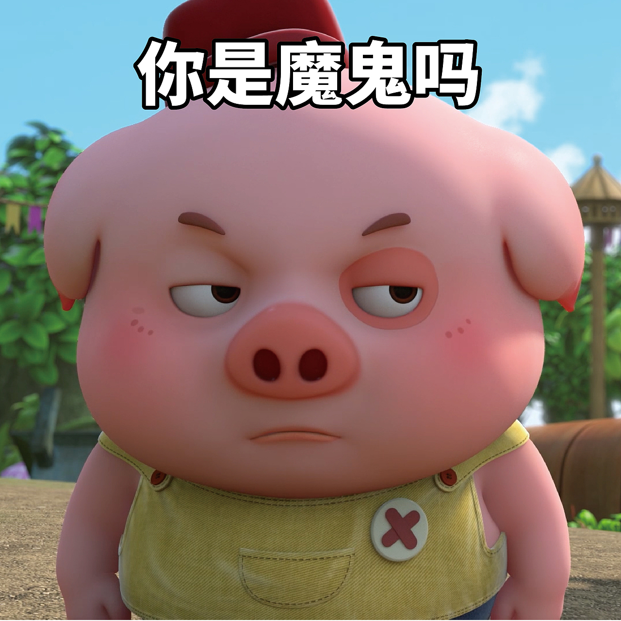 探探猫表情包:豆豆猪无辜的小眼神中透露出一丝丝忧伤