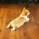 小胡同学bit的头像