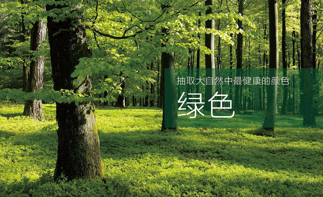 茶叶logo包装设计