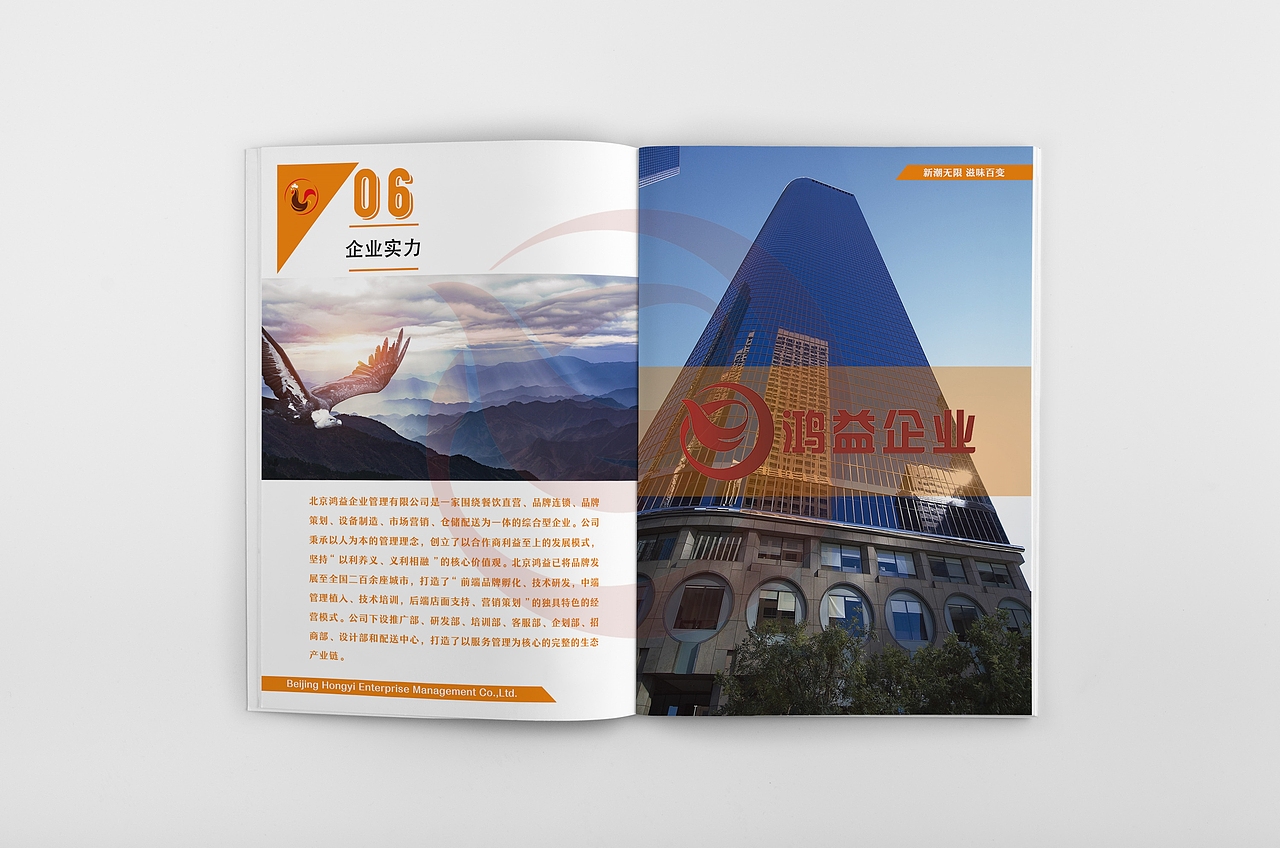 品牌画册（图ZMTI5NzA3NDM2） - 品牌 - 站酷设计师龙chunyu原创素材 - 站酷ZCOOL