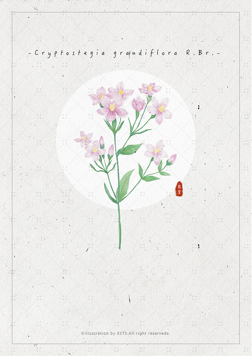 那些花儿-肆（图ZMTM3OTQwMDM2） - 创作习作 - 站酷设计师ESTS原创素材 - 站酷ZCOOL