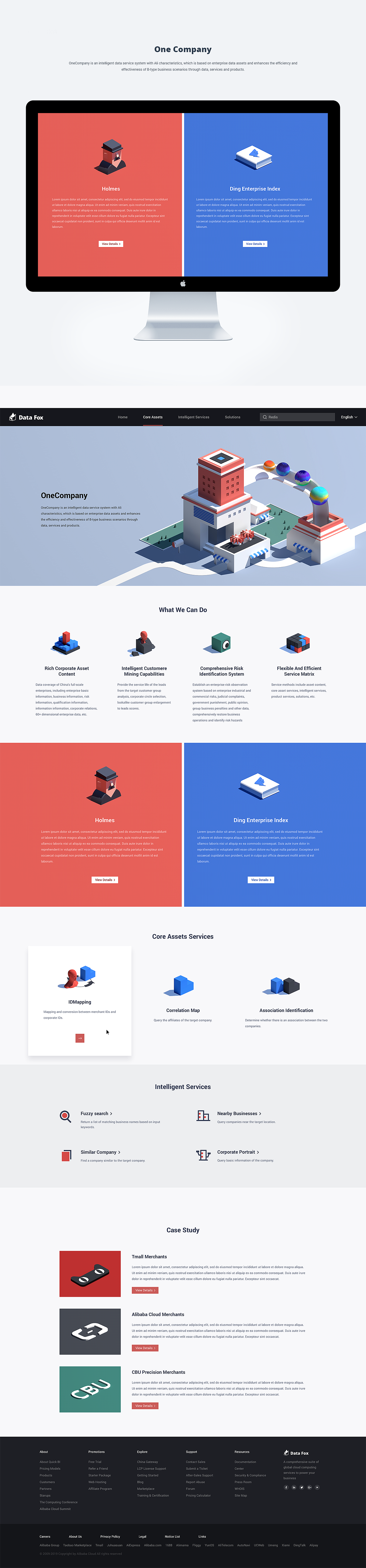 官网设计 - DataFox