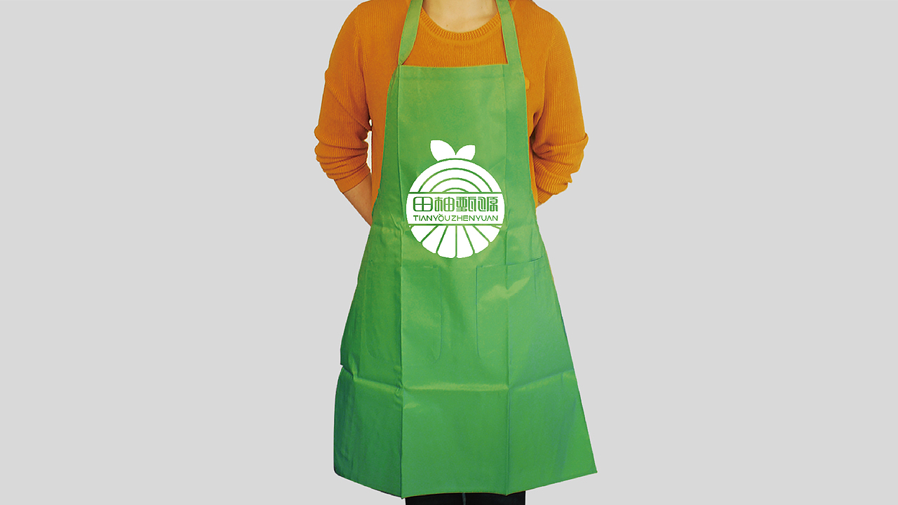 田柚甄源logo设计提案-飞机稿（图ZMTc1MTY2MDI4） - Logo - 站酷设计师黑璞设计原创素材 - 站酷ZCOOL