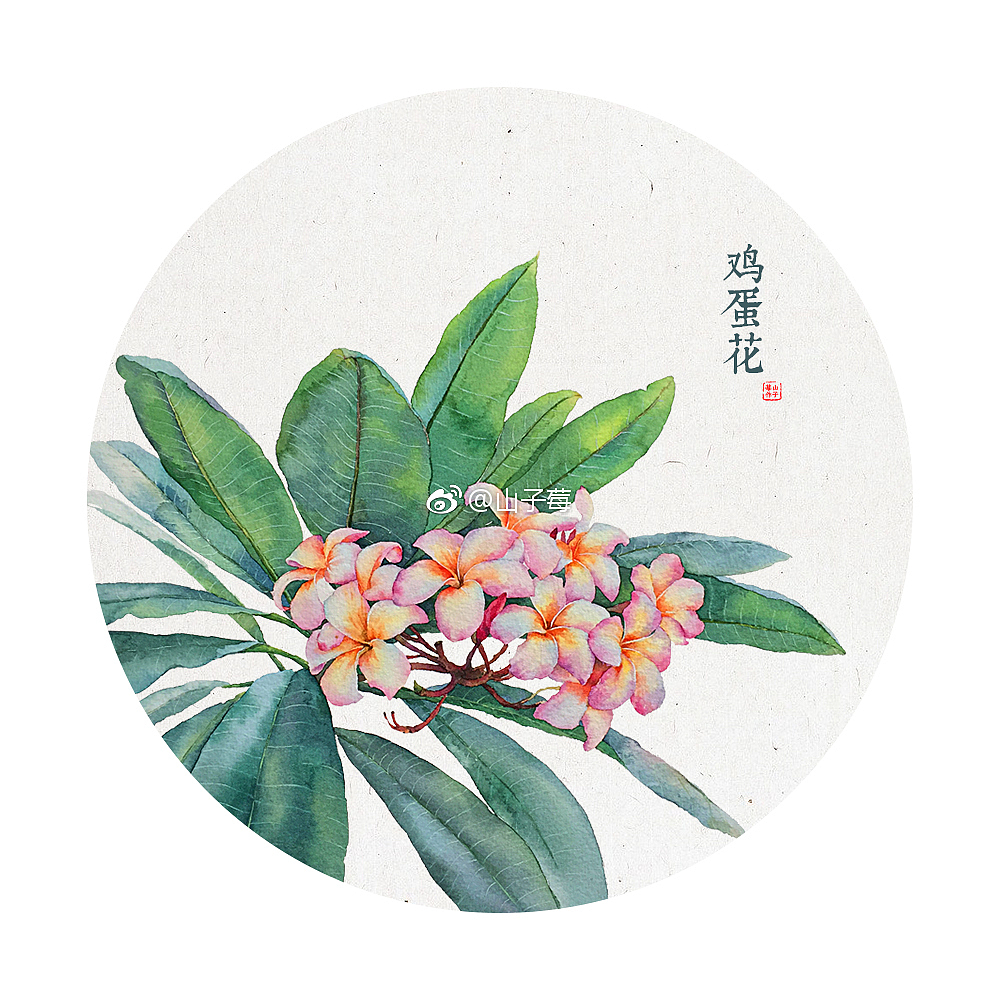 水彩花卉 手绘（图ZMTQ3NDUzNzg4） - 绘画 - 站酷设计师山子莓原创素材 - 站酷ZCOOL