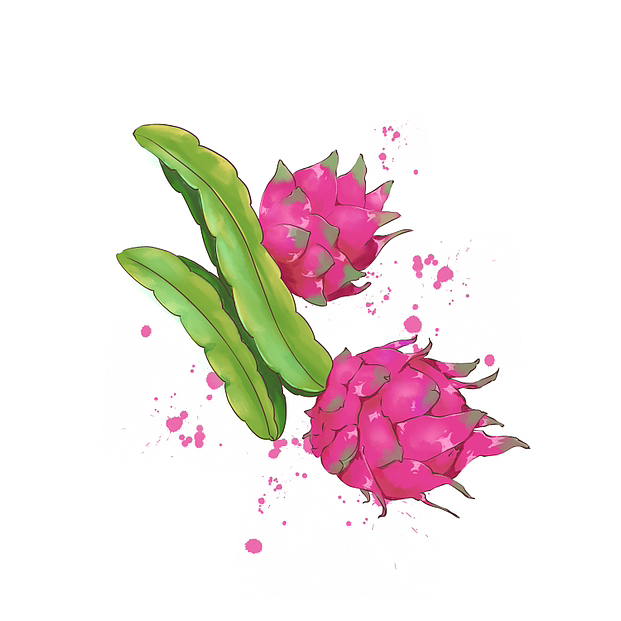 插画水果合集(24节气)