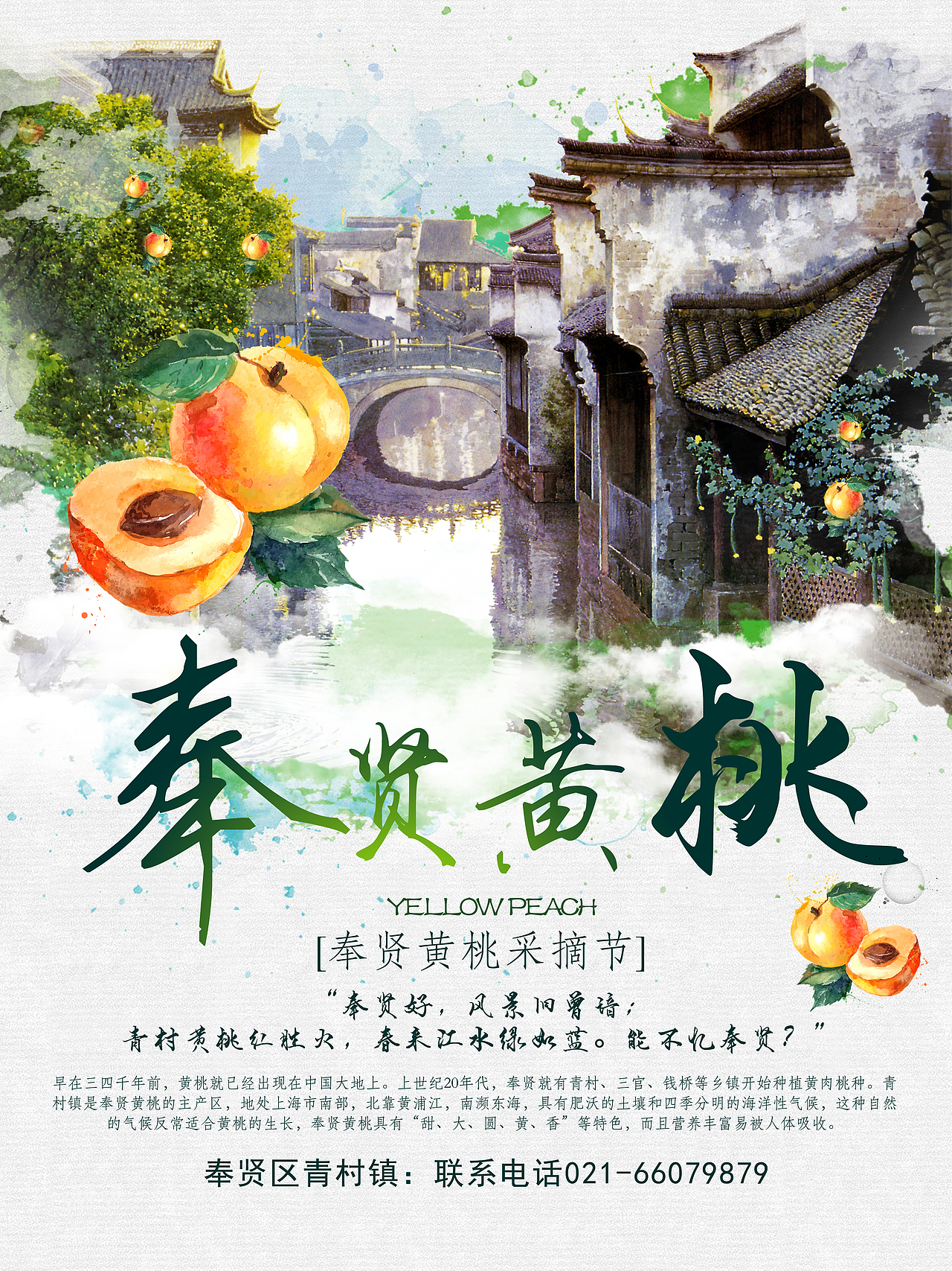 奉贤黄桃（图ZMTYyODc0MjY0） - 海报 - 站酷设计师顾北tcl原创素材 - 站酷ZCOOL