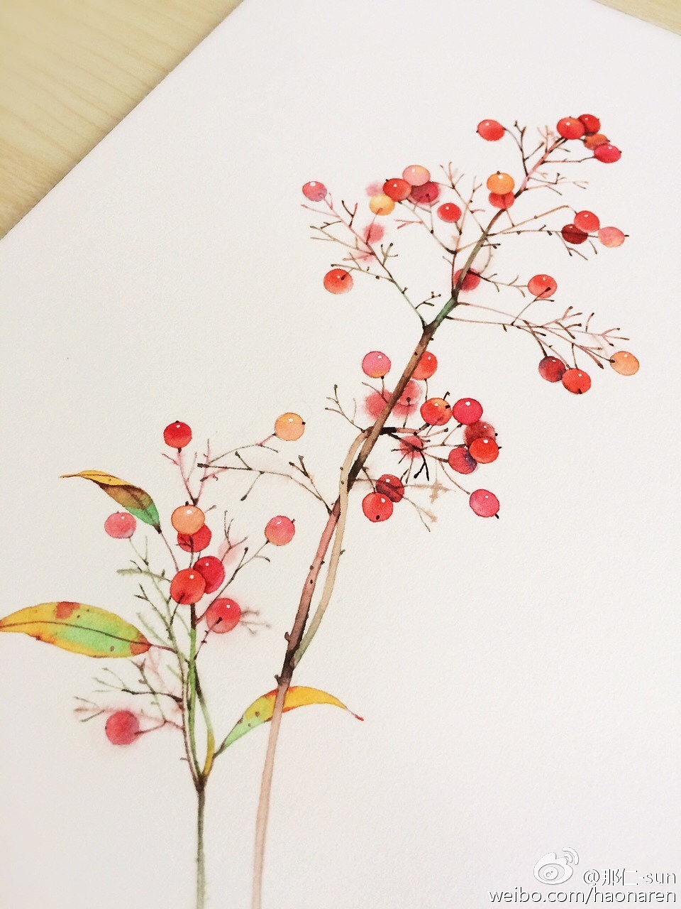 那仁水彩教程书籍之南天竹——图文详解