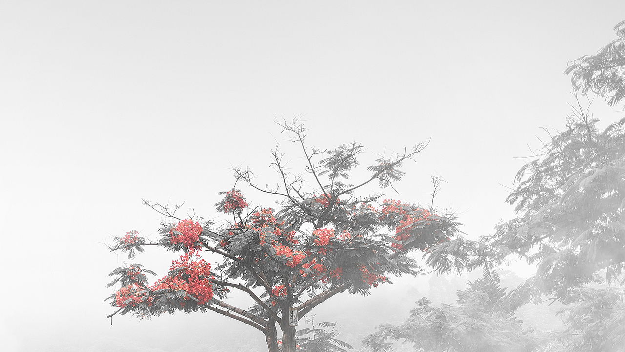 6月雨天爬凤凰山合辑