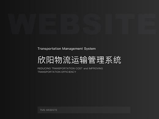 TMS运输管理系统