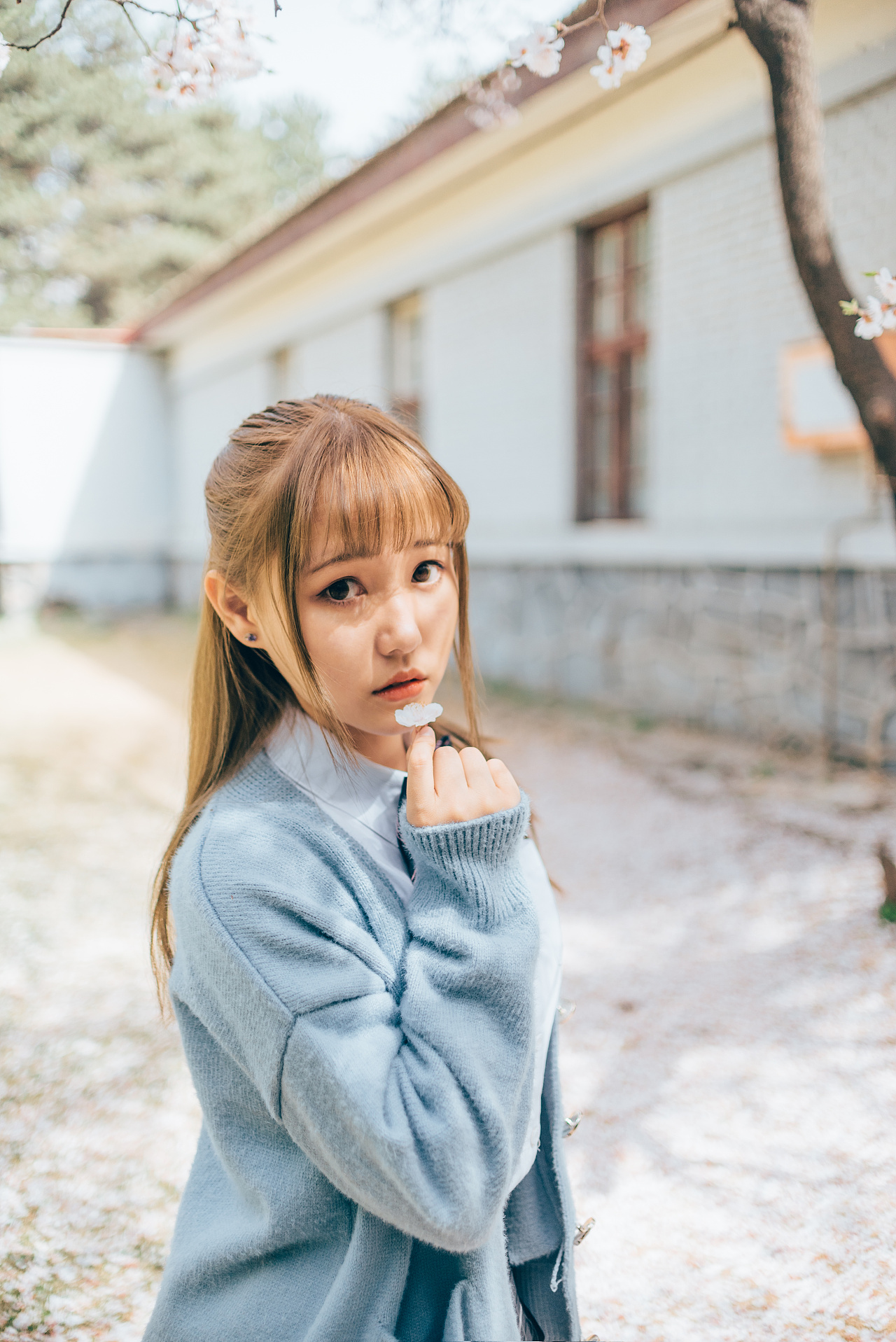 日系人像|秋日桃花